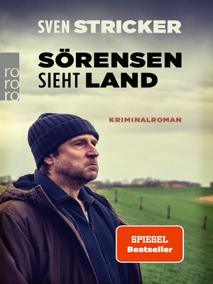 cover image of Sörensen sieht Land